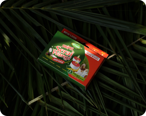 For Website _ lifestyle image-3